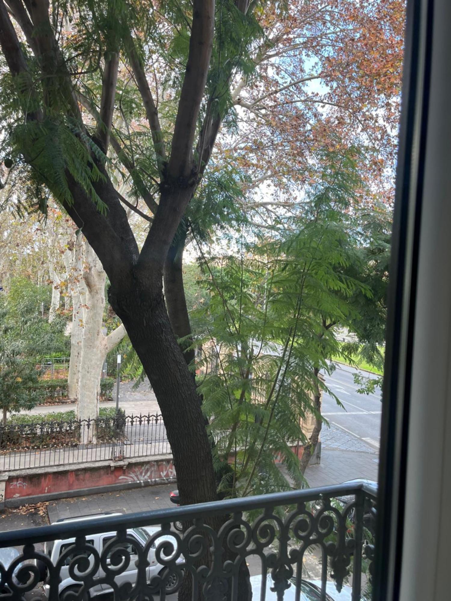 Palazzo Pastura B&B And Apartments 卡塔尼亚 外观 照片
